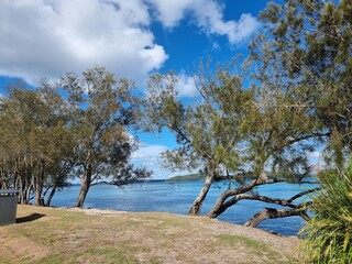 Fototapeta na wymiar Lake Macquarie viewed through trees from the shore near Swansea New South Wales Australia
