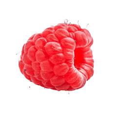  Delicious single raspberry over isolated white background