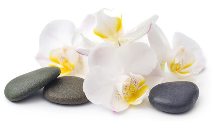Fototapeta na wymiar Spa stone with orchid flower