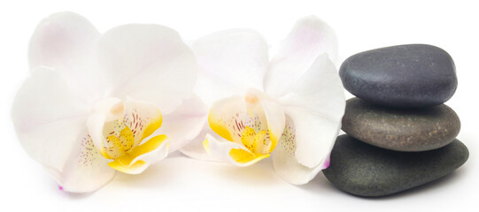 Spa stone with orchid flower
