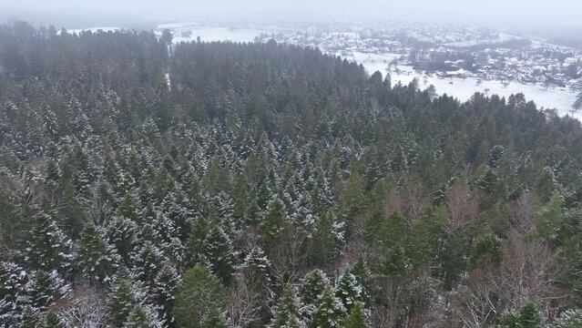 drone photography of a winter forest in the fog and a view of the village