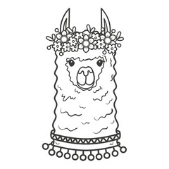 Cute llama with a wreath of flowers on his head. Portrait of a cute animal - coloring book page. Illustration on transparent background