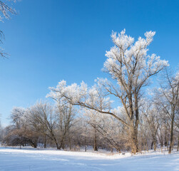 winter's tale landscape