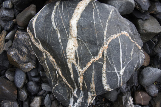 Quartz veins on a rock found on the west slope of the Great Nunatak outside Valdez, Alaska.