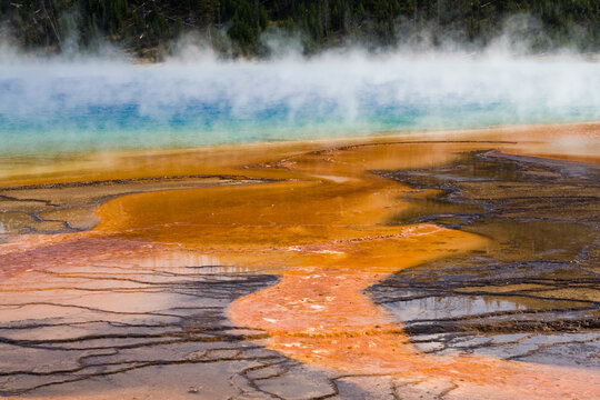 Colorful and abstract details on the edge of Grand Prismatic Spring, Yellowstone National Park, Washington.
