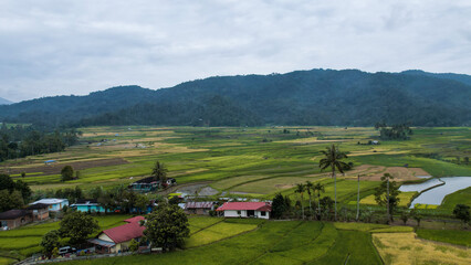 Fototapeta na wymiar Aerial view of Terraced Green Rice Field in Bukittinggi, Sawah batipuh, west sumatra, Indonesia. Wonderful Indonesia.