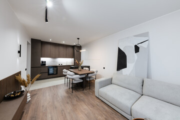 Fototapeta na wymiar Studio kitchen interior design with kitchen furniture and lighting