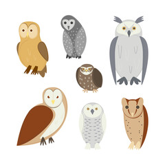 Cartoon Color Different Owl Birds Set Concept Flat Design Style. Vector illustration of Sitting Nocturnal Owls