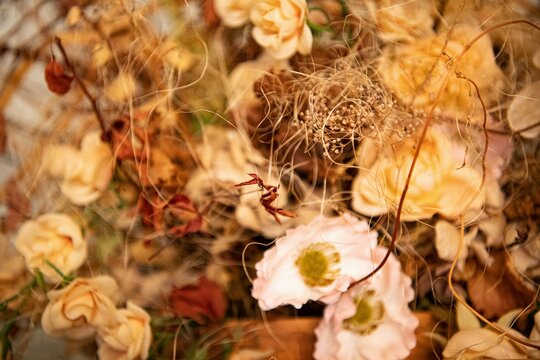 Das sch&ouml;ne Detail - Close uu shot von Bl&auml;ttern und Bl&uuml;ten
