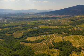 Drone photography of tuscan rural landscape of small olive tree farms and vineyards