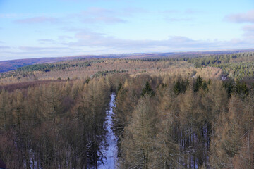 Aussicht vom Sollingturm auf die schöne Landschaft im Solling in Niedersachsen