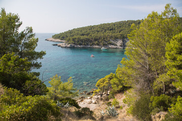 A bay with crystal clear water surrounded by pinewood and beautiful nature with a hidden beach below-beautiful landscape on a coastal trail from Hvar town to village Milna on the island Hvar, Croatia - obrazy, fototapety, plakaty