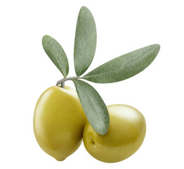 Delicious olives cut out