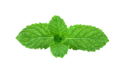 Mint leaes isolated on transparent png