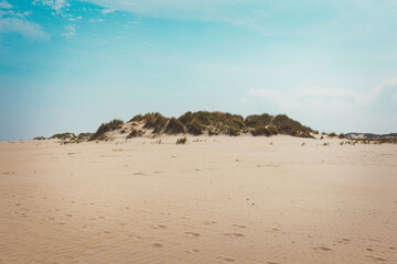 Düne am Strand von Sylt