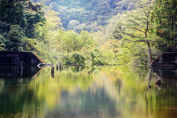 Fototapeta na wymiar 兵庫県・三田市渓谷の風景