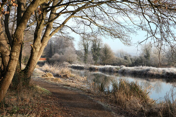 A still River Wey on a cold frosty morning, Surrey, UK.