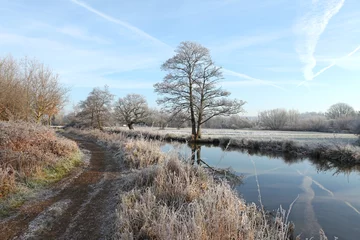 Foto auf Leinwand A still River Wey on a cold frosty morning, Surrey, UK. © Alexandra