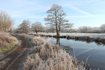 A still River Wey on a cold frosty morning, Surrey, UK.