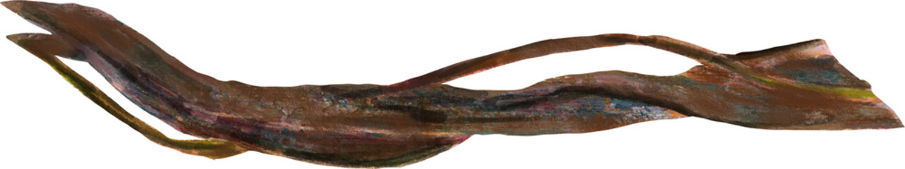 Botanical plant wood on an isolated white background, watercolor illustration, element clipart 