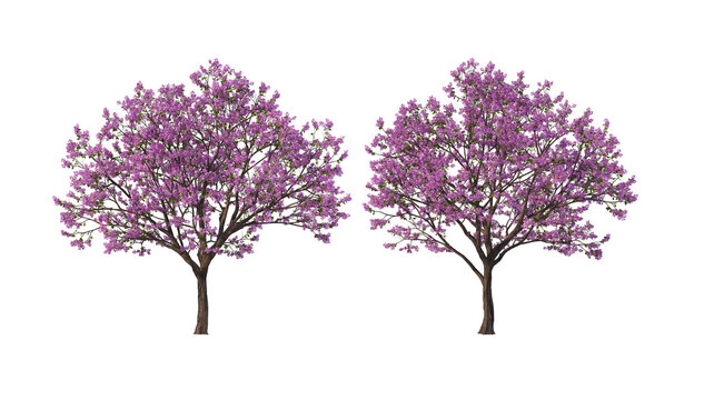 A tree with flowers of various colors on a transparent background.