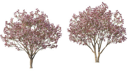 A tree with flowers of various colors on a transparent background.