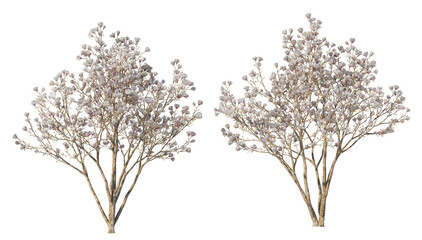 Fototapeta premium A tree with flowers of various colors on a transparent background.