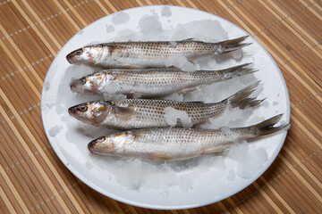 Four silvery brushed mullets lie surrounded by fine ice, on a white plate
