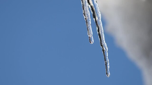 Melting icicles time-laps in the sunlight