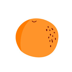 slice orange fruit illustration