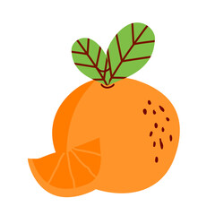 slice orange fruit illustration