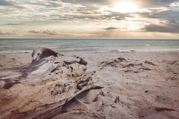 Ostsee - Meer - Warnemünde - Rostock - Seascape - Beach - Sunset - Baltic Sea Vacation Coast - Tourism -Holiday - Sunrise over sea - Background - High quality photo	