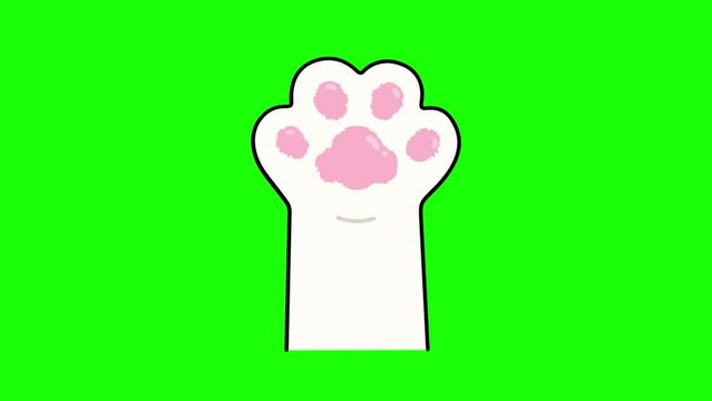 cute animated footage of cat paws, with green screen background.