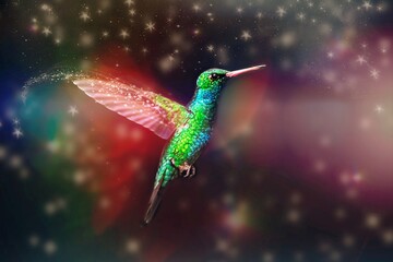 Ilustración de colibrí en base a una foto con efecto fantasía © Maelia Rouch