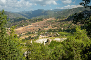 Fototapeta na wymiar Landscape of Cyprus island, forest, mountains, vineyards