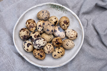 Fresh small spotted partridge or quail bird eggs