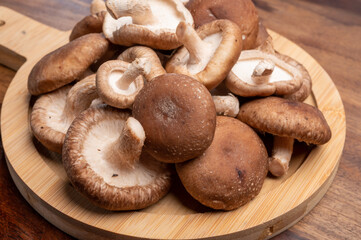 Fresh brown Lentinula edodes or shiitake edible mushrooms