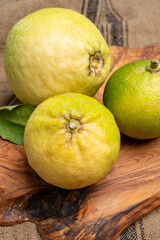 Fresh ripe bergamot orange fruits, fragrant citrus used in earl grey tea, medicine and spa treatments