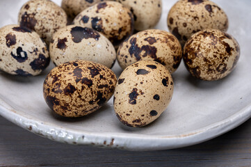 Obraz premium Fresh small spotted partridge or quail bird eggs