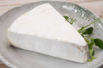 Cheese collection, French brie de Meaux cheese from Seine-et-Marne region with white mold