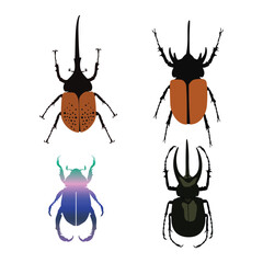 horn beetle vector design set. Hercules beetle in flat style. Insect illustration.