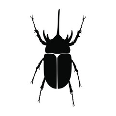 horn beetle silhouette vector. Flying insects, wildlife.