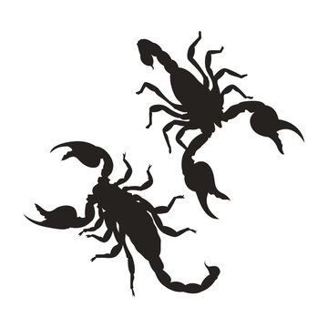 scorpion silhouette creative design. Vector illustration.