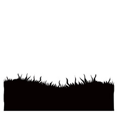 Meadow grass background