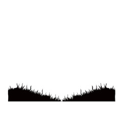 Meadow grass background