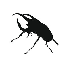 horn beetle silhouette vector side view. Flying insects, wildlife.