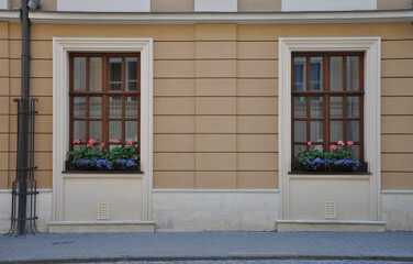 Wooden windows with flowers on the windowsill on the facade of a brown house.