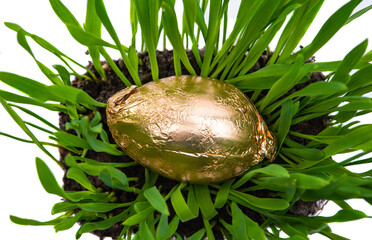 easter decoration with green grass isolated