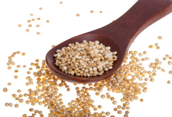  quinoa isolated