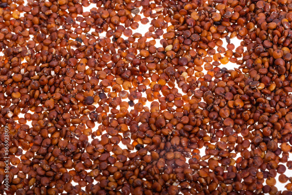 Sticker red quinoa isolated